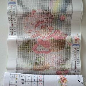 Strawberry Shortcake Diamond Art Round Drill
2/20